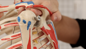 https://www.hcd.ie/2023/02/21/subacromial-impingement/