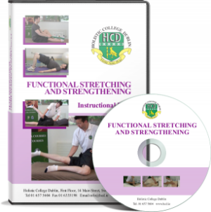Functional Stretching and Strengthening (Streaming)