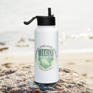 Stainless steel water bottle with a straw lid
